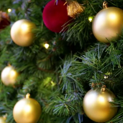 Jólatónleikar Tónlistarskólans