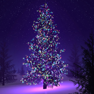 Júlarúntur kennara Tónlistarskólans