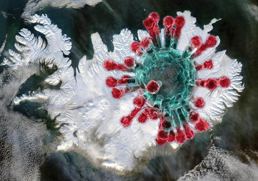 Vegna COVID 19. veirunnar