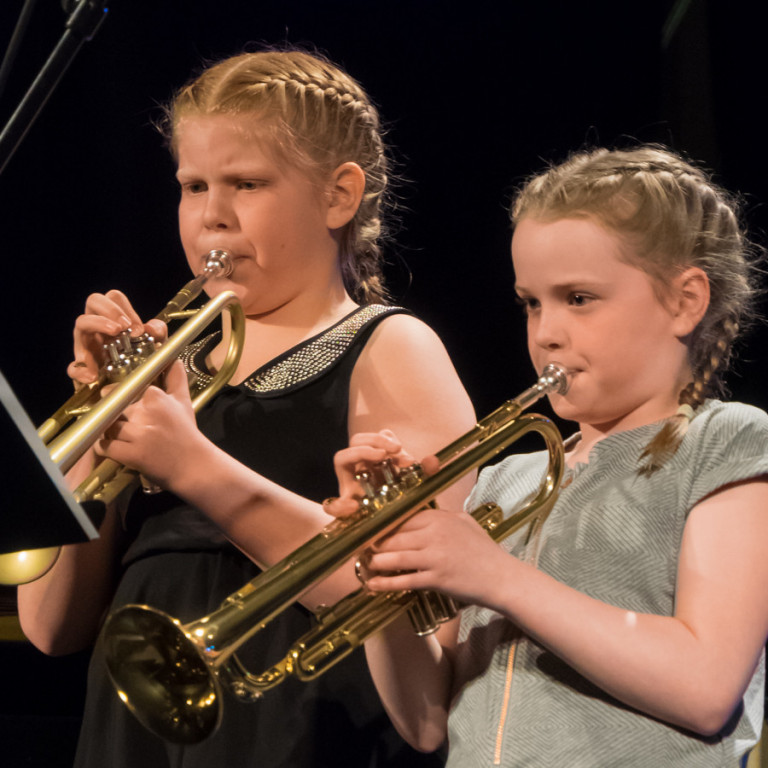 Uppskerutónleikar Tónlistarskólans á Tröllaskaga 07.03.2017.